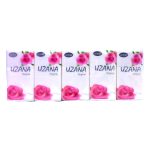 Set de 10 Paquetes de Pañuelos Desechables