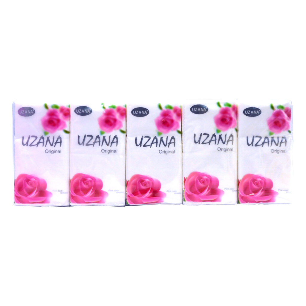 Set de 10 Paquetes de Pañuelos Desechables